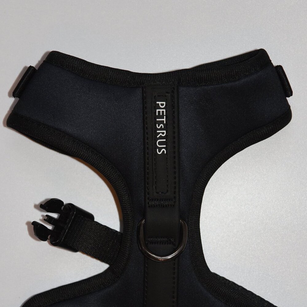 PETsRUS Premium No Pull Dog Harness 2 Leash Clips Ivory Charc Leather